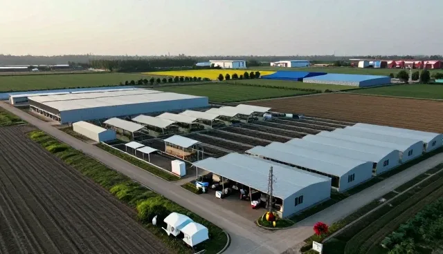 测试工具在系统实施中的应用趋势分析